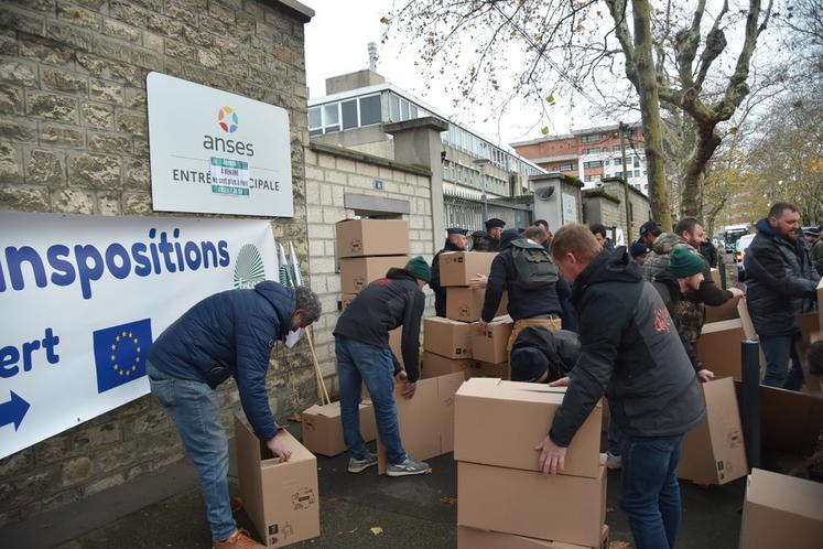 Préparation des cartons pour les départs demandés à Bruxelles.
