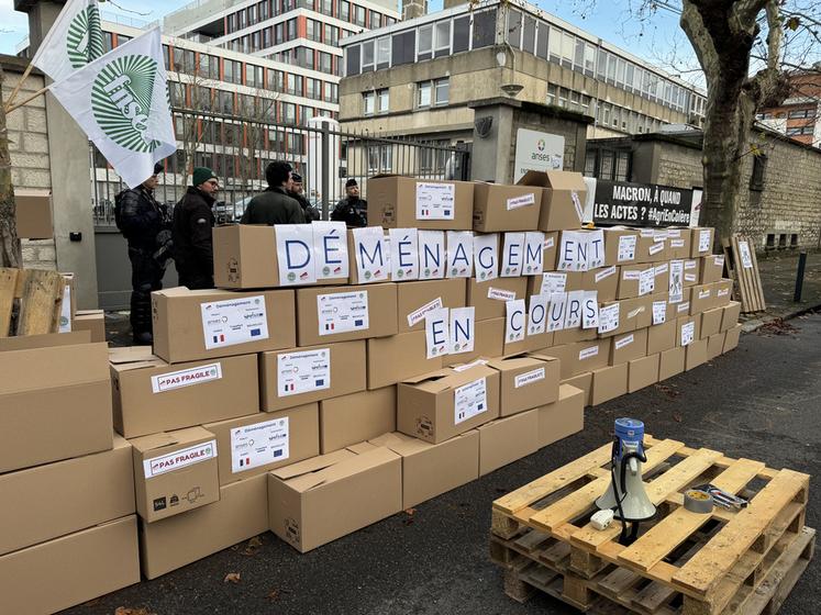 8 h 15, à Maisons-Alfort (Val-de-Marne). Action 2 : rendez-vous devant l’Anses, où un mur de cartons de déménagement a été monté devant les locaux. « On demande un alignement sur l’Efsa (autorité européenne de sécurité des aliments, NDLR) pour avoir les mêmes normes qu’au niveau européen : non aux surtranspositions ! », ont scandé les manifestants.