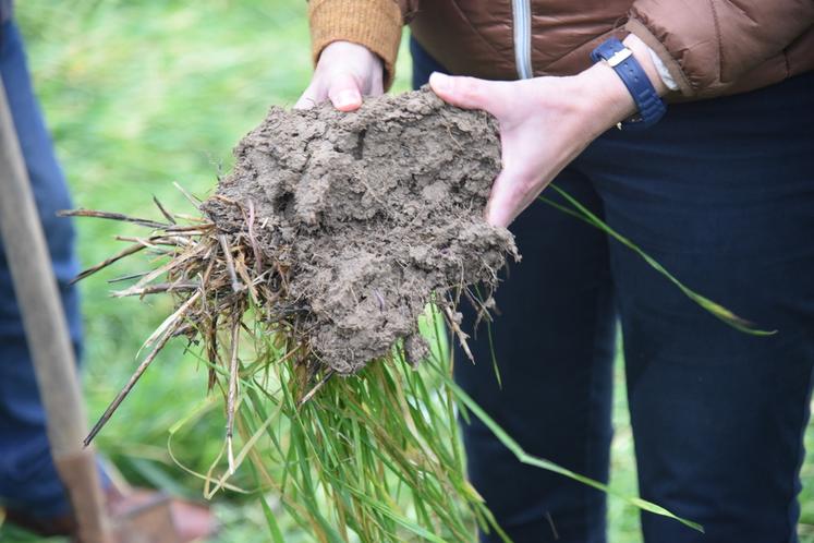 Développement racinaire, terre aérée et présence de vers de terre, les effets bénéfiques des TCS ont été présentés par Stéphanie Bernard.