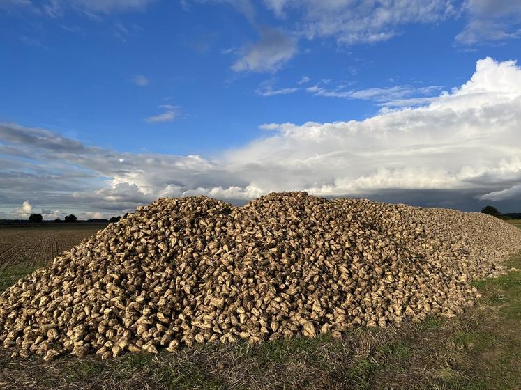 Les planteurs de la sucrerie Ouvré sont conviés à une réunion mardi 17 décembre.