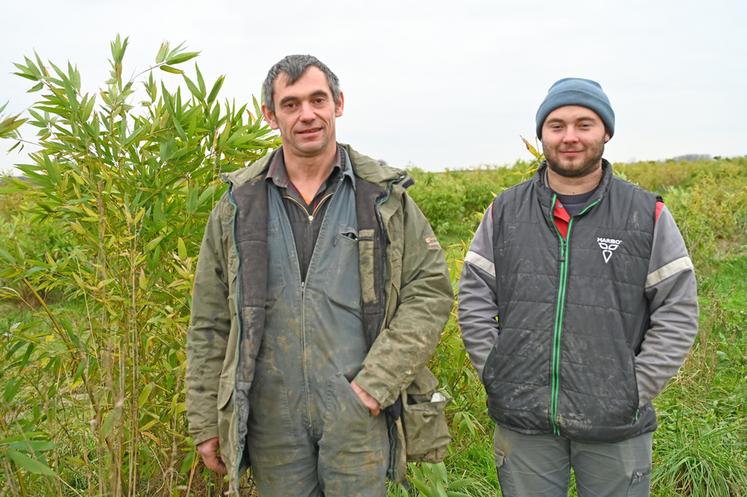 Romuald Luche et son fils Dorian ont planté 2,5 hectares de bambous en 2022, une culture encore marginale en France.