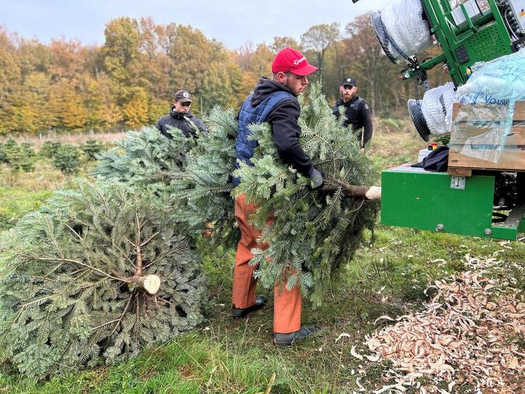 Sur le site, l’activité est dense du 1er novembre au 15 décembre : le chiffre d’affaires se fait sur une période très courte, quatre semaines.