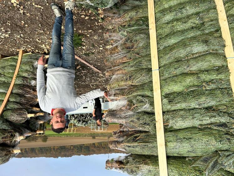 L’entreprise Noël Success produit 50 références de résineux et compte aujourd’hui quelque 350 000 arbres et sapins sur 70 hectares de pépinières dans les terres acides du Pays d’Othe.