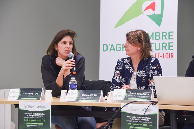 La vétérinaire Chloé Boisseau a témoigné du choc de l'arrivée des premiers cas de FCO.