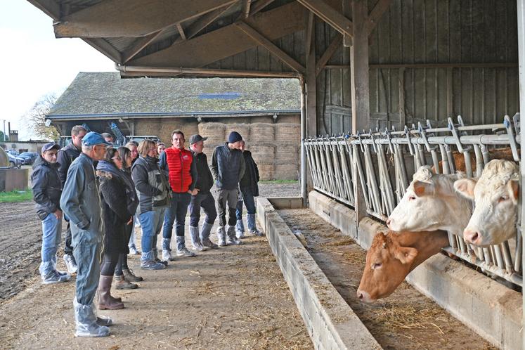 Mardi 3 décembre, à Villedieu-le-Château. Des éleveurs bovins se sont réunis pour assister à la Matinée allaitante organisée par la chambre d'Agriculture.