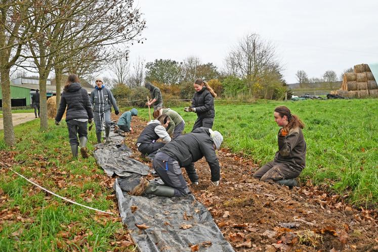 Du 9 au 13 décembre, à Areines. Les élèves du Legta de Vendôme de l'Agrocampus des Deux vallées se sont attelés durant la semaine Aux arbres lycéens à la plantation d'une haie.