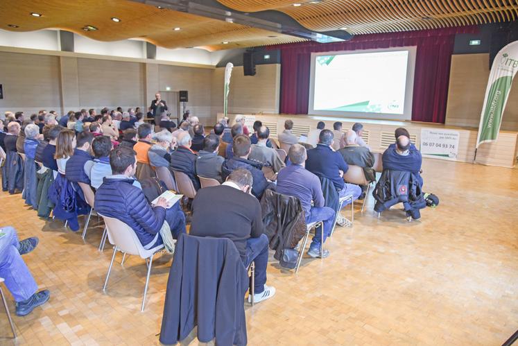 Vendredi 20 décembre, à Janville-en-Beauce (Eure-et-Loir). La réunion du comité technique régional de l'ITB a réuni planteurs et techniciens autour de l'actualité.