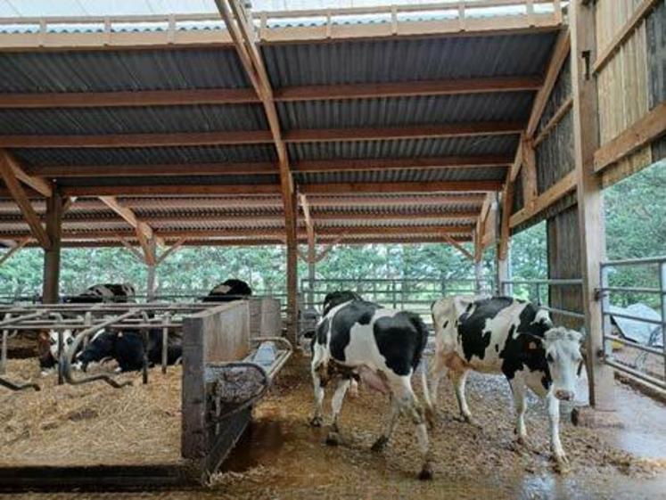 Un couloir suffisamment dimensionné permet la circulation des animaux au niveau de l’abreuvoir.