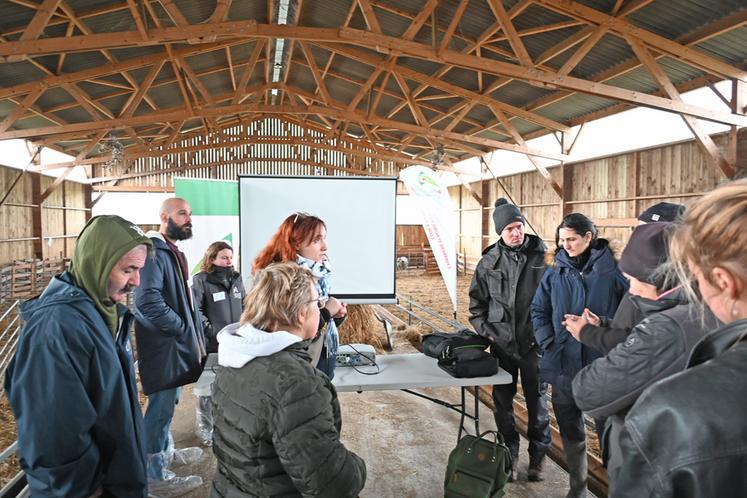 Pendant la matinée, outre la présentation du cheptel de François et Sophie Roumier, plusieurs sujets ont été abordés comme l'agrivoltaïsme ou encore la FCO*.