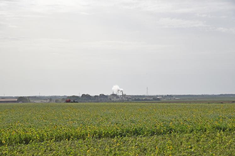 La fermeture de la sucrerie Ouvré à Souppes-sur-Loing a été officiellement annoncée.
