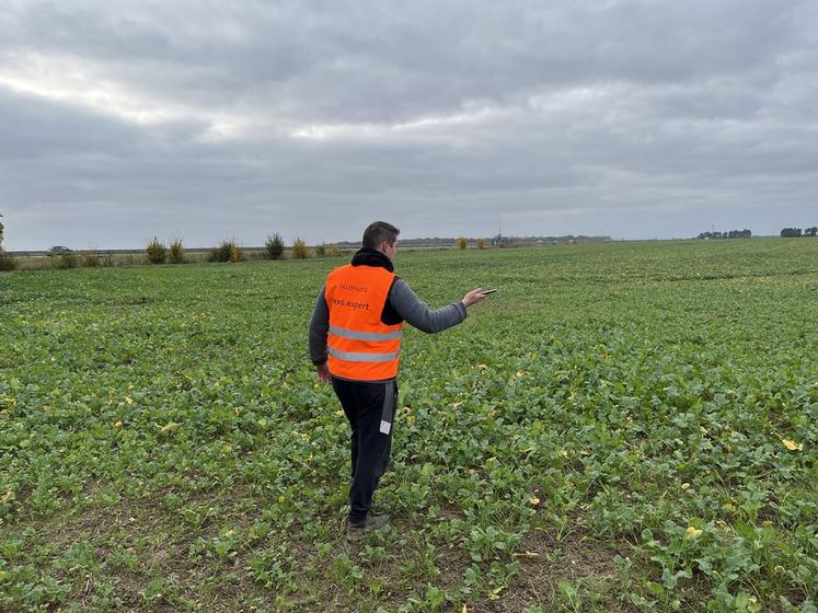 Chaintreaux, mercredi 13 novembre. Démonstration dans une parcelle de colza du fonctionnement de l'application Crop-Analyser. 