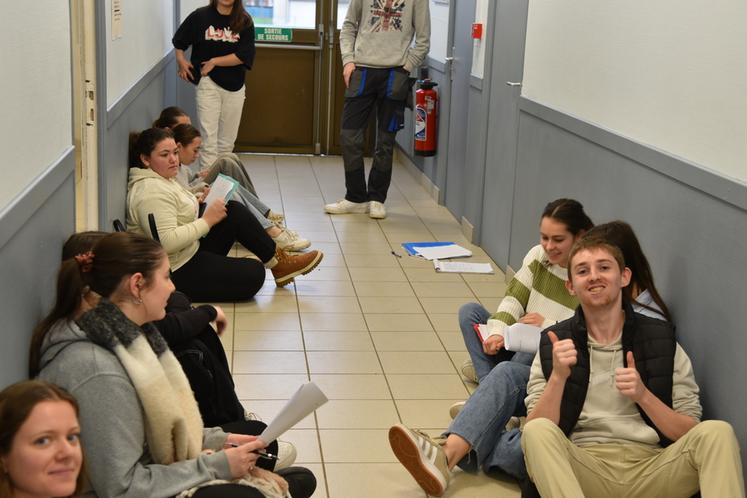 De nombreux jeunes sont intéressés par le soin et la santé animale : ostéopathie, médiation, auxiliaire vétérinaire… Autre secteur plébiscité : l'agro-équipement.