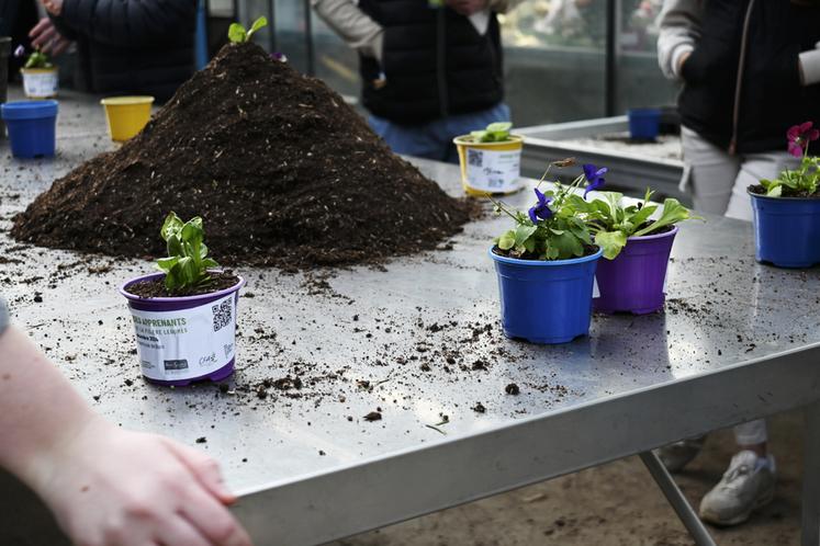 Mardi 3 décembre, à Blois. 240 apprenants ont découvert la filière légumes à travers des activités comme du rempotage.