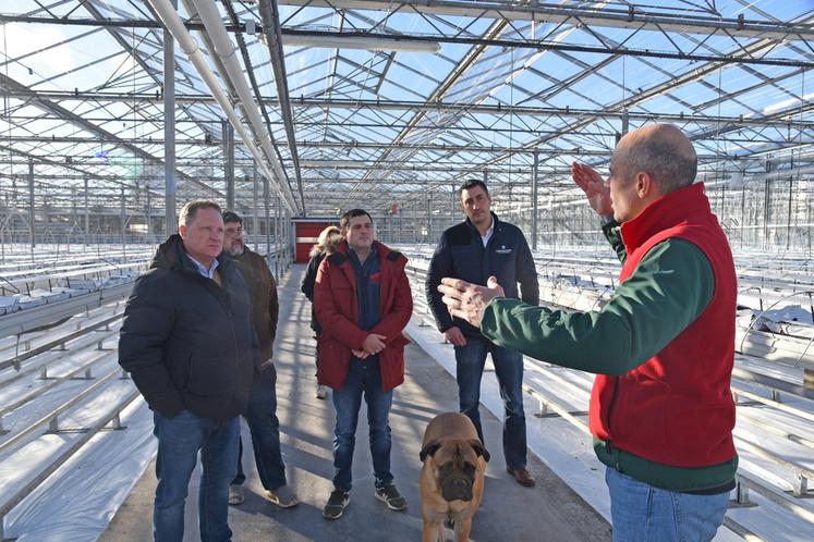Chailly-en-Bière (Seine-et-Marne), lundi 13 janvier. « Les plantations de fraises sont compartimentées dans l’optique d’assurer une continuité de la production d’avril à octobre, la saison de la commercialisation », explique Benjamin Simonot-De Vos.