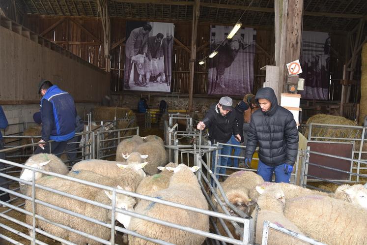 Cette année, la compétition a opposé les élèves du CEZ - La Bergerie nationale de Rambouillet (Yvelines) et du lycée agricole-Eplefpa La Bretonnière (Seine-et-Marne).