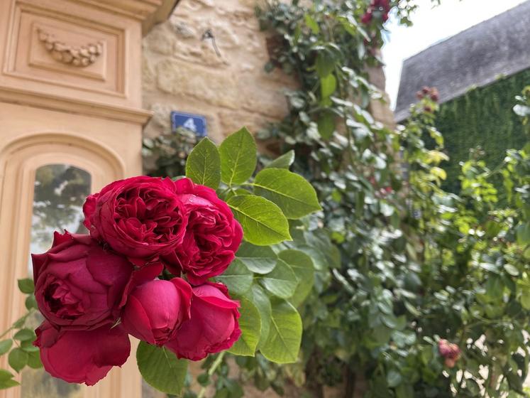 Joli détail sur une façade de maison à Terrasson-Lavilledieu (Dordogne).