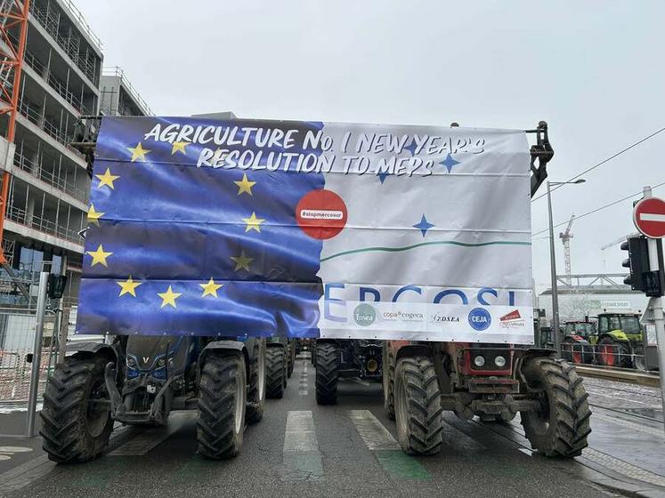 Mercredi 22 janvier, à Strasbourg. La FNSEA et JA ont organisé une mobilisation pour maintenir la pression contre le Mercosur près du Parlement européen.