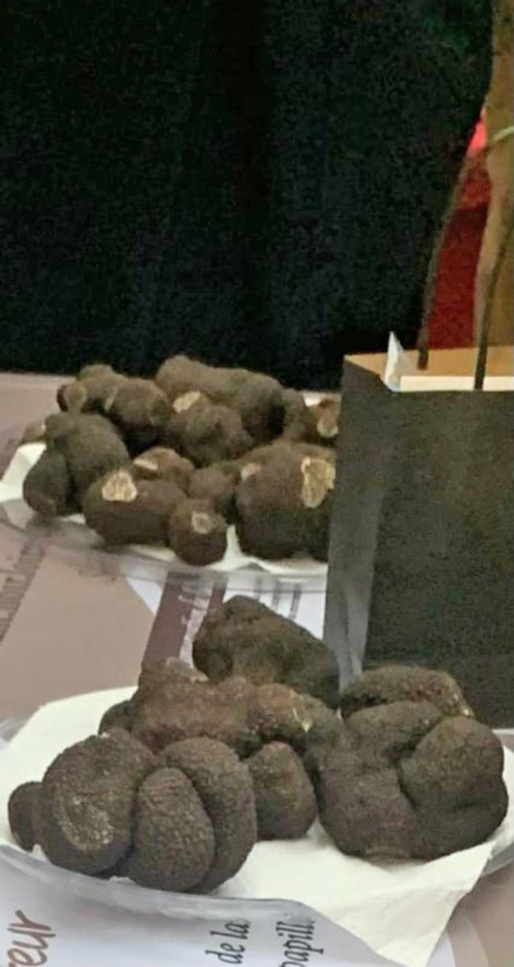 Le marché est labellisé : les contrôleurs regardent chaque truffe pour que les meilleures soient proposées à la vente.