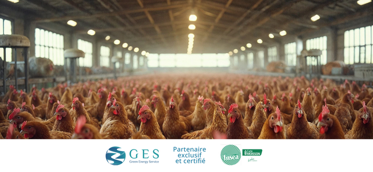 La carte Moisson propose une offre de modernisation des luminaires sans reste à charge.