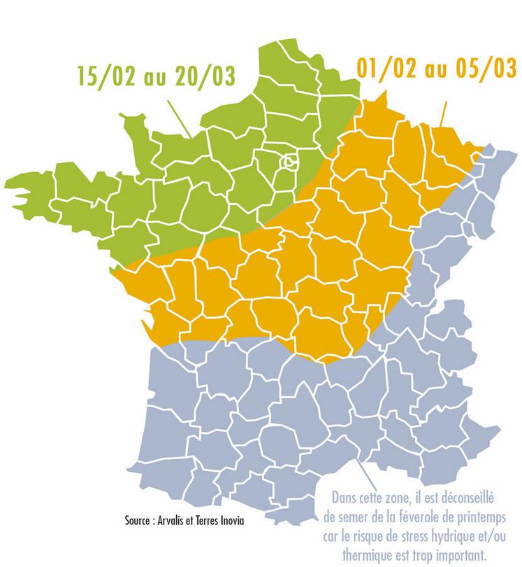 Dates de semis recommandées de la féverole de printemps.