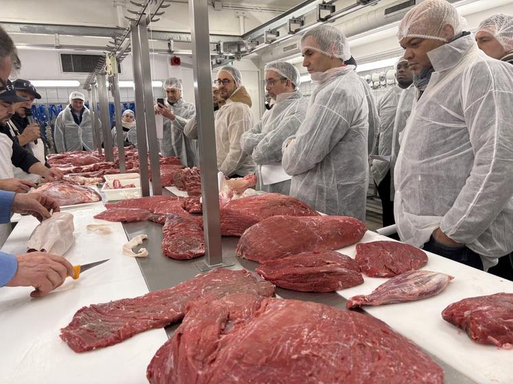 La découpe d'une demi-carcasse d'un jeune bovin de race limousine a été effectuée par les formateurs de l'École professionnelle de boucherie.