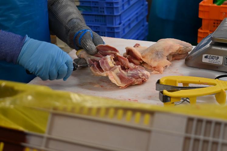 Lundi 23 décembre, à Savigny-sur-Braye. Volabraye a présenté ses activités et ouvert ses locaux à la presse.