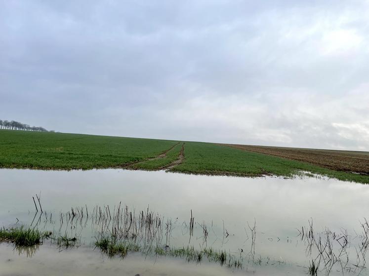 Parcelles inondées, cultures les pieds dans l'eau : les intempéries n'ont pas épargné les exploitants en ce début d'année.