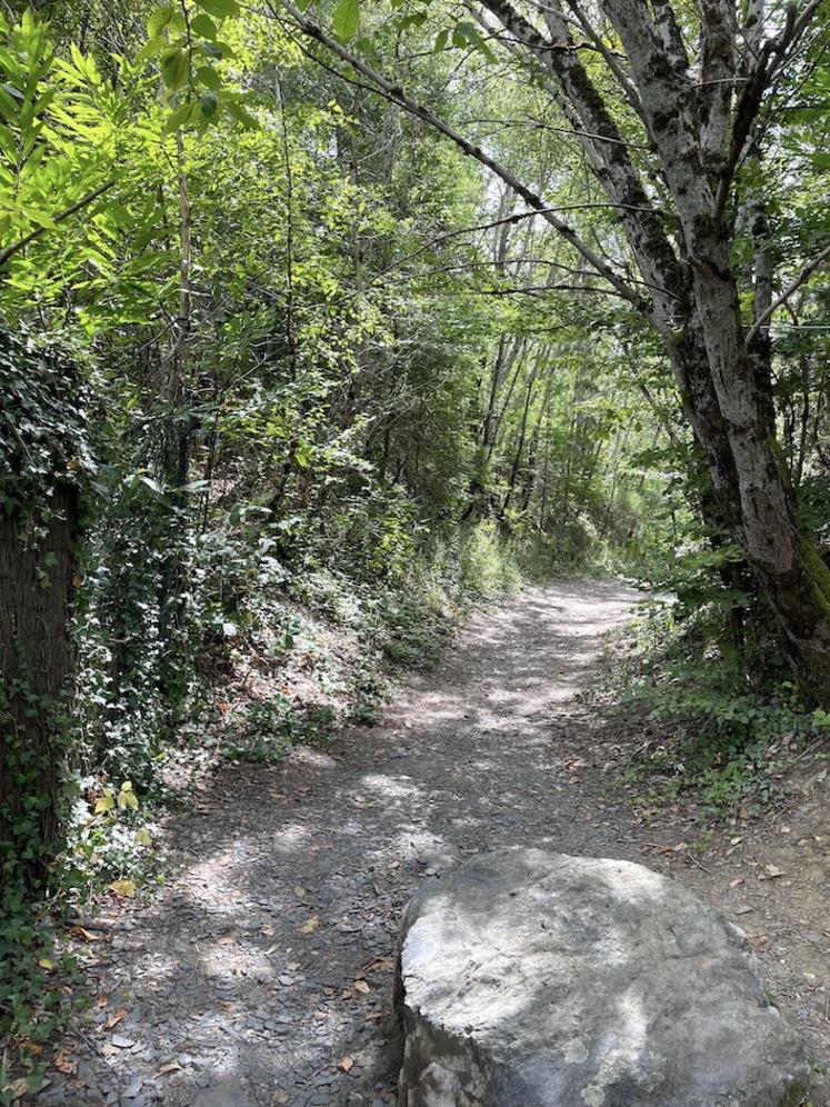 Tout proche du site des Pans de Travassac, en Corrèze, des chemins invitent à la randonnée.