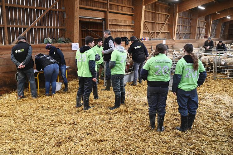 Mercredi 29 janvier, à Amilly. Quarante-quatre lycéens et étudiants ont participé à la finale des Ovinpiades des jeunes bergers de Centre-Val de Loire.