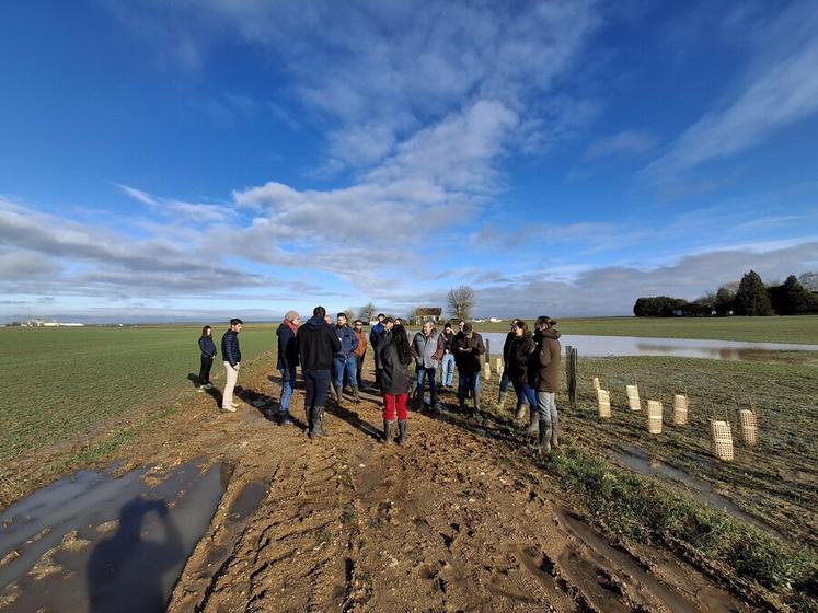 Sous un soleil radieux, les participants ont découvert les différentes essences de la plantation, qui n’a pas encore été paillée.