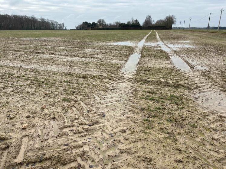 Cette photo prise dans le secteur de Saint-Denis-d'Authou aurait pu être prise à peu près n'importe où en Eure-et-Loir après une pluie même légère. Le fait est que l'eau ne pénètre plus, la terre est saturée.