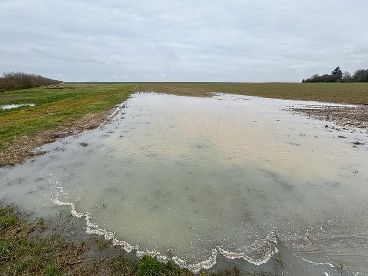 Autre conséquence des précipitations, le moindre creux se remplit inexorablement. Ici, sur la commune de Marchéville, mais il y en a des centaines comme ça…