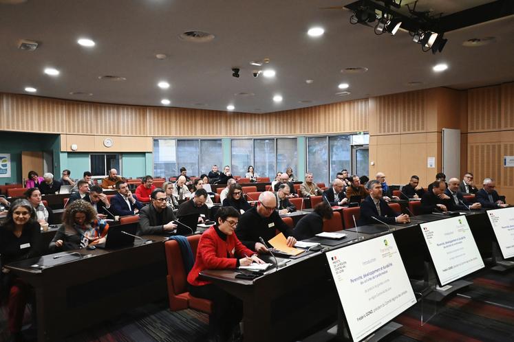Mardi 28 janvier, à Orléans. La rencontre régionale des grandes cultures a rassemblé une soixantaine de personnes.