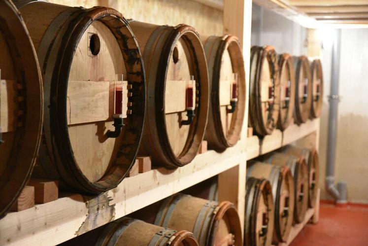 Dans ces fûts, une bactérie préservée depuis 1797 transforme le vin en vinaigre.