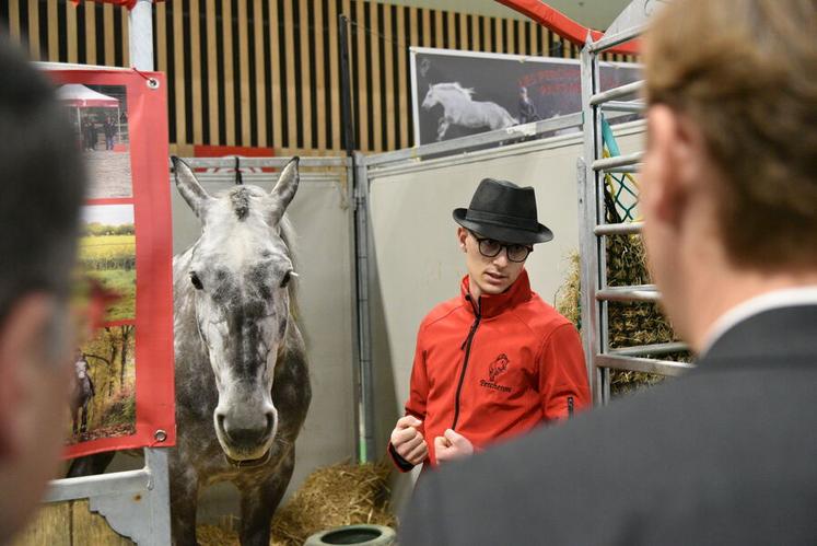 Victor Mesnil fait partie des exposants du Centre-Val de Loire sur le Salon. Le jeune homme y présente sa jument de race percheron de 5 ans. Avec elle, il participe au Trophée racial d'utilisation jeunes chevaux.