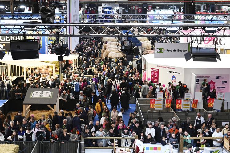 Une nouvelle fois, le Salon international de l'agriculture accueille des milliers de visiteurs venus de toute la France pour aller à la rencontre du monde agricole français. 