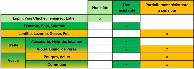 Sensibilité des légumineuses à Aphanomyces euteiches. 