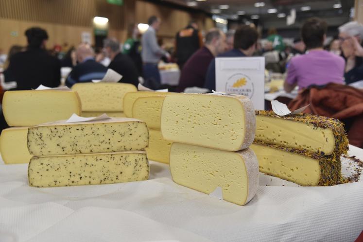 Paris, porte de Versailles, lundi 24 février. Un plateau de fromages géant à juger. 