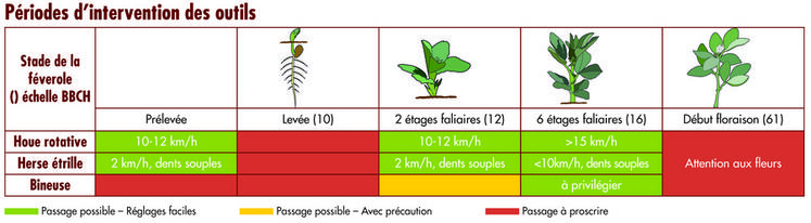 Outils et périodes d'intervention sur la féverole de printemps.
