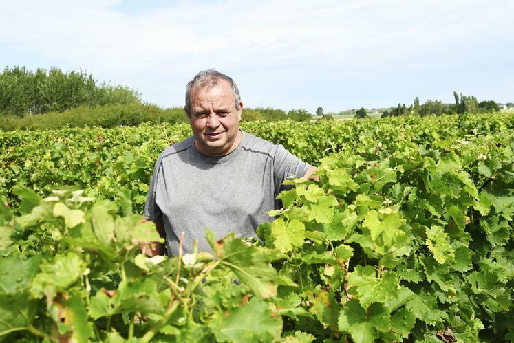 Denis Bourdin, viticulteur à Couddes et président de la coopérative Les Vignerons des Coteaux romanais, revient sur le début d'année 2025 pour les vignerons et viticulteurs en Loir-et-Cher.