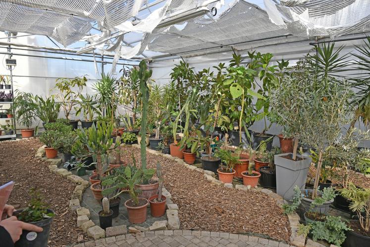 Les serres ont suscité un vif intérêt lors de la visite.