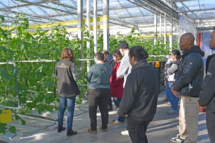 Jeudi 6 mars, à Saint-Denis-en-Val. Une dizaine de demandeurs d'emploi étaient présents pour la visite des Serres du Val. 