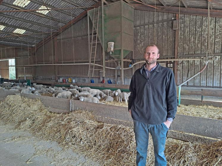 Romain Crignon, 33 ans, accueille aujourd’hui un cheptel de près de 400 brebis et leur suite dans une ancienne aire paillée destinée aux vaches.