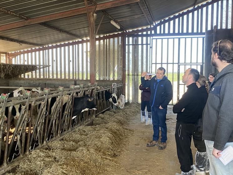 Jeudi 6 mars, à Villerable. Lors d'une matinée génisses laitières, Mathieu Haudebert a fait visiter son élevage et évoqué ses résultats techniques avec la vingtaine de participants. 