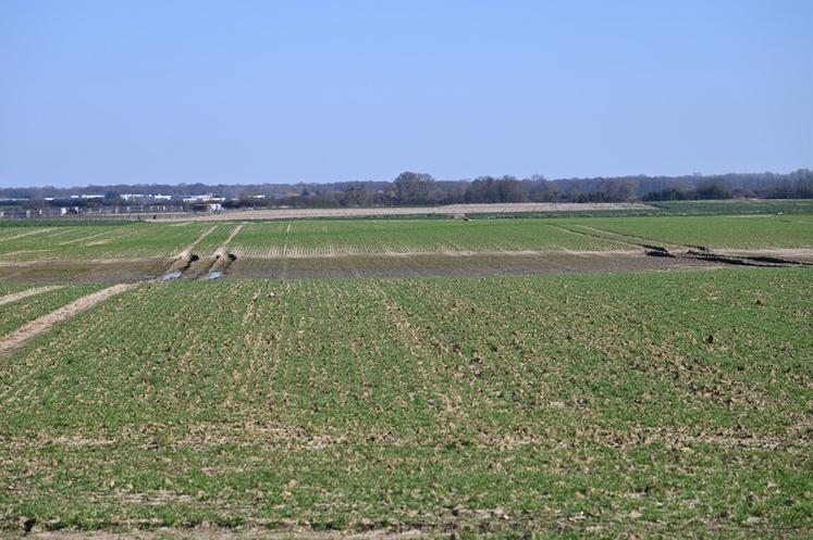 À Leudeville (Essonne), mardi 18 mars. En de nombreux endroits du territoire, les conséquences de l'excès de pluviométrie sont observables.