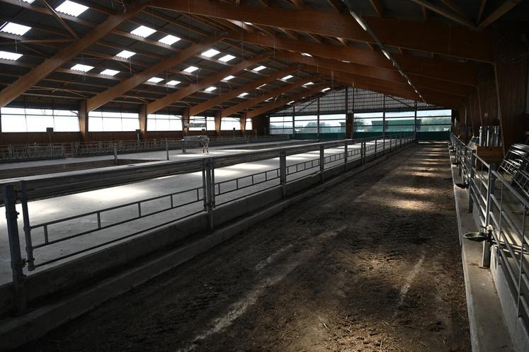 Tanguy Schintgen a prévu d'installer 50 bovins sur la Ferme de Bressonvilliers. 