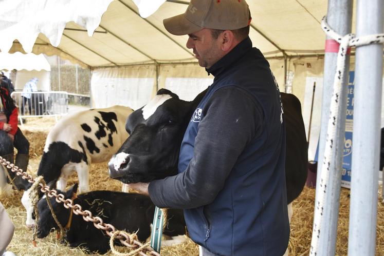 Les éleveurs étaient également présents pour partager leur passion. Cédric Villoing, de Saint-Godon, a présenté ses vaches de race prim’holstein au public.