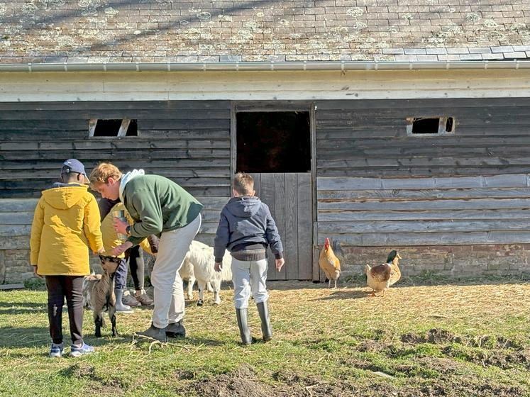 Les chèvres ont toujours beaucoup de succès.