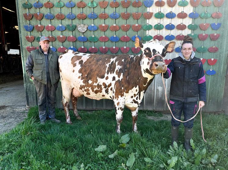 Lundi 1er avril, à La Bazoche-Gouet. See, une normande de l'EARL Guéret, fait la fierté de ses éleveurs en remportant le titre de réserve Grande championne au concours national de la race.