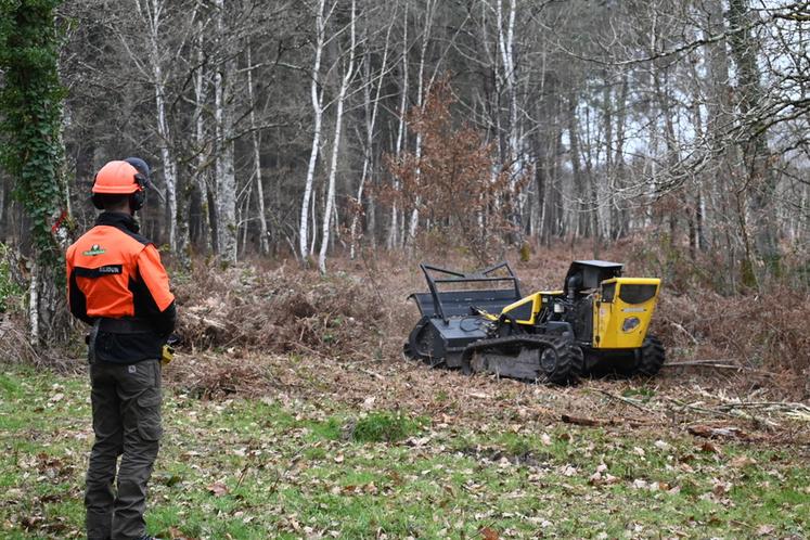 Les obligations légales de débroussaillements (OLD) ont été présentées par Xavier Pelletier, préfet de Loir-et-Cher, lors d'un chantier test le mercredi 19 février dernier sur une parcelle forestière du massif du Gros Bois. 
